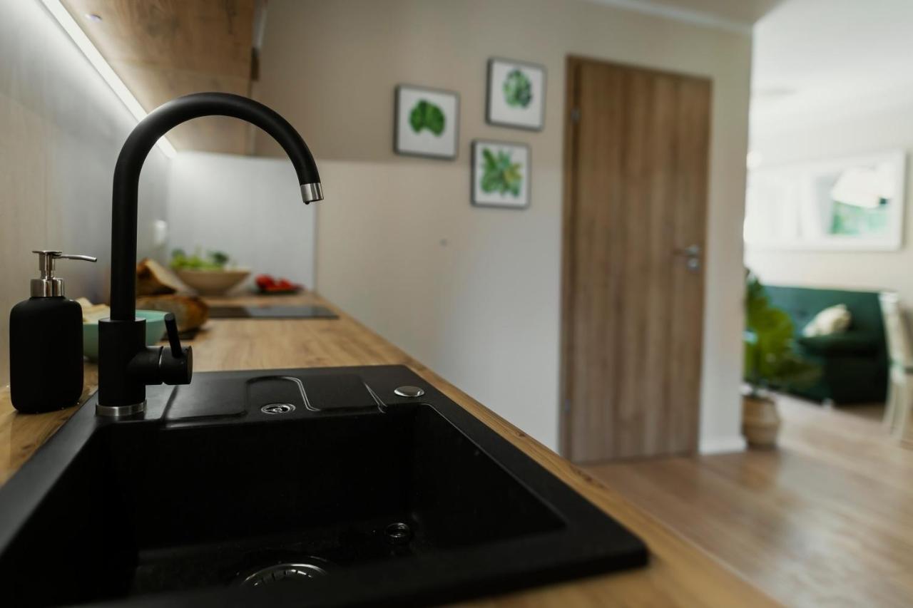 Apartamenty Willove Wzgorze ดุสนิกิ สดรอย ภายนอก รูปภาพ