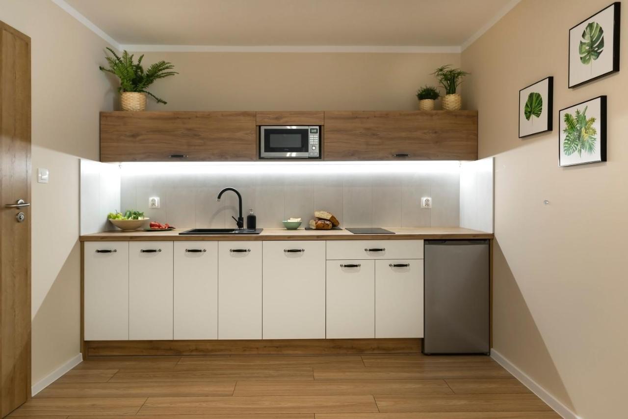 Apartamenty Willove Wzgorze ดุสนิกิ สดรอย ภายนอก รูปภาพ