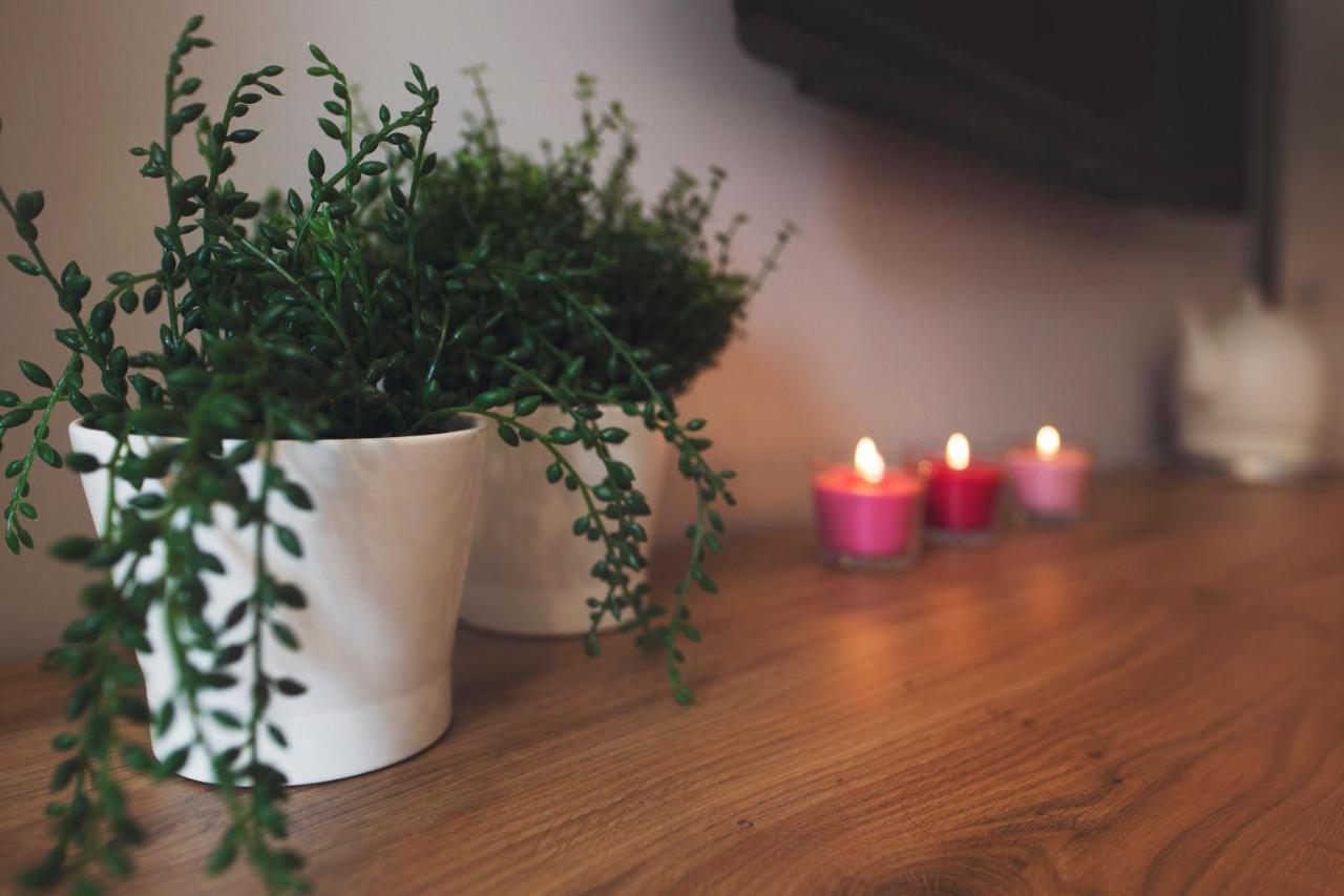 Apartamenty Willove Wzgorze ดุสนิกิ สดรอย ภายนอก รูปภาพ