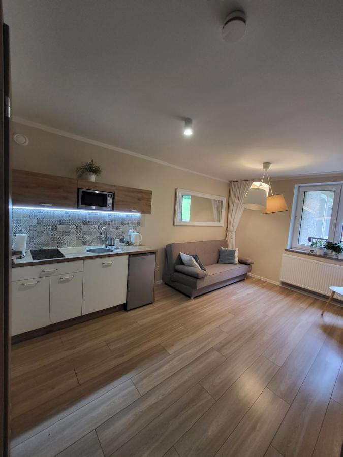 Apartamenty Willove Wzgorze ดุสนิกิ สดรอย ภายนอก รูปภาพ